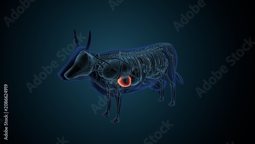 Blue cow anatomy. 3d render
