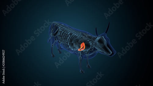 Blue cow anatomy. 3d render