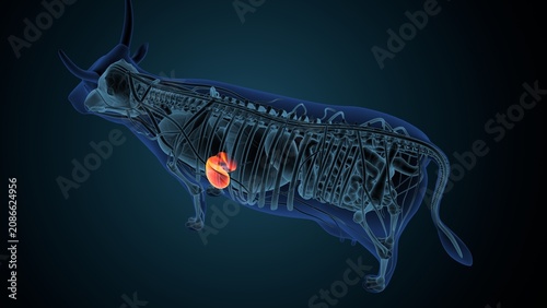 Blue cow anatomy. 3d render