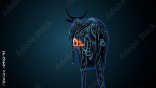 Blue cow anatomy. 3d render