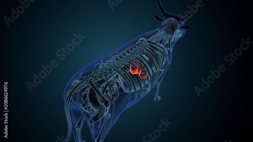 Blue cow anatomy. 3d render