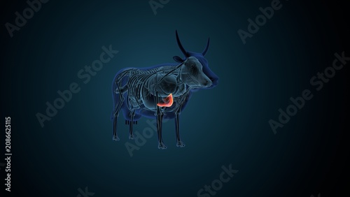 Blue cow anatomy. 3d render