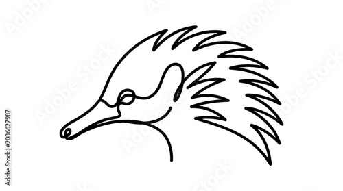 Billede på lærred Minimalist One Line Drawing of an Echidna Head