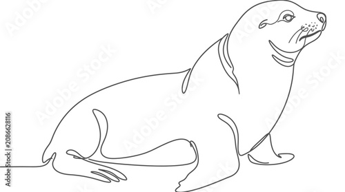 Minimalist Line Art Seal Illustration - Simple Animal Drawing