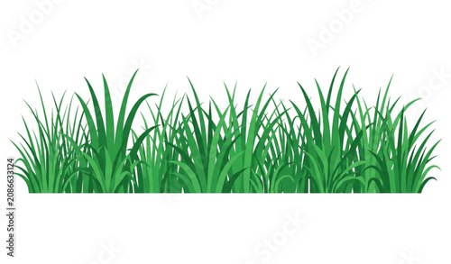 Green grass border vector with fresh lawn blades natural meadow botanical elements isolated on white background flat illustration