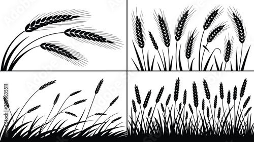 Wheat Silhouette Collection Set with Barley Ears Grain Field and Cereal Crop Vector Illustrations