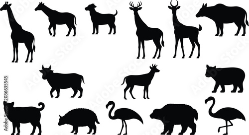 Photography Wild Animal Silhouette Collection Set with Mammals Birds and Safari Wildlife Vec