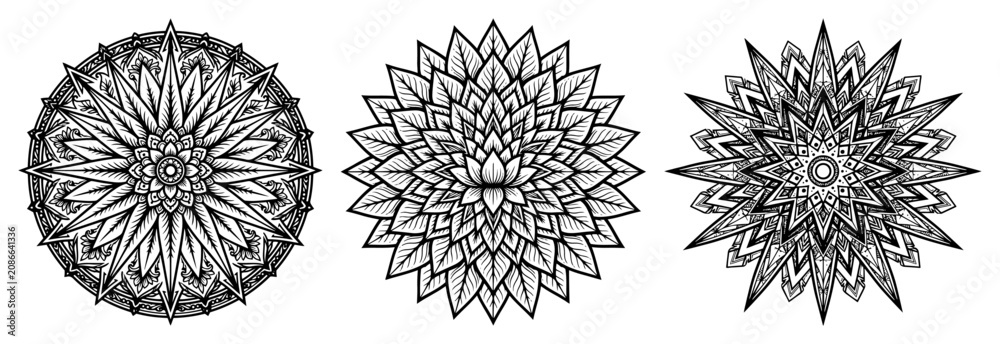 Obraz premium Floral mandalas and geometric stars set in intricate linework style