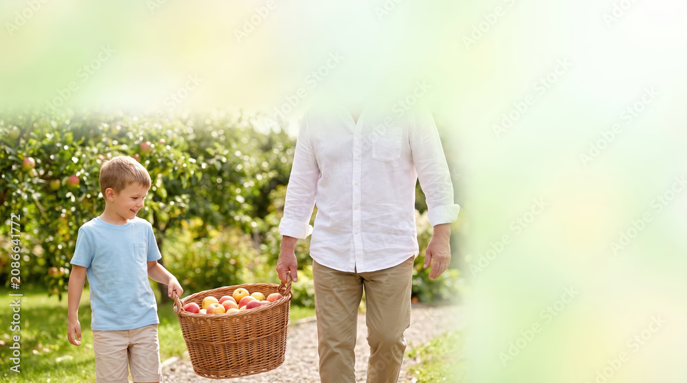 Fototapeta premium Assisting a grandfather with carrying items for daily tasks