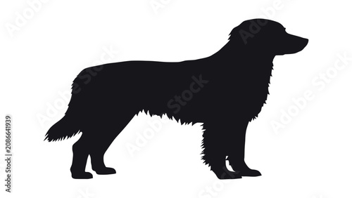 Schilderij op canvas Golden retriever silhouette stands in a classic profile pose against a solid white background