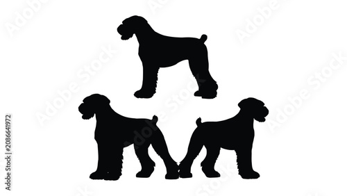 Фотография Schnauzer silhouettes display three distinct standing poses in a minimalist graphic arrangement