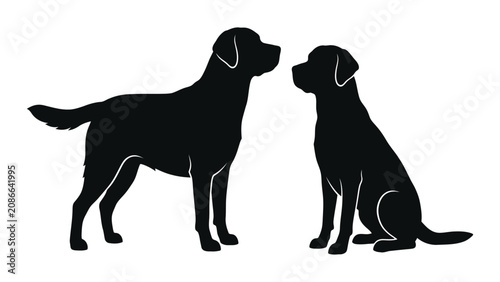 Фотография Labrador silhouettes depict two dogs interacting in a side profile arrangement