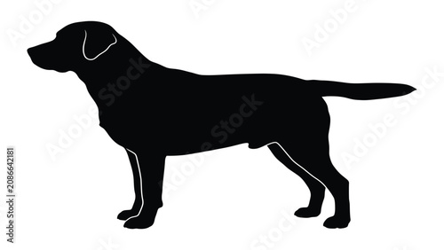 Tableau sur toile Retriever silhouette displays the elegant and sturdy build of a hunting dog in a clean black graphic format