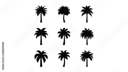 Bilde på lerret Palm trees appear as a collection of nine unique black silhouettes arranged in a grid pattern