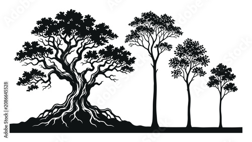 Fényképezés Trees display distinct silhouettes of various species arranged in a horizontal row on a white background