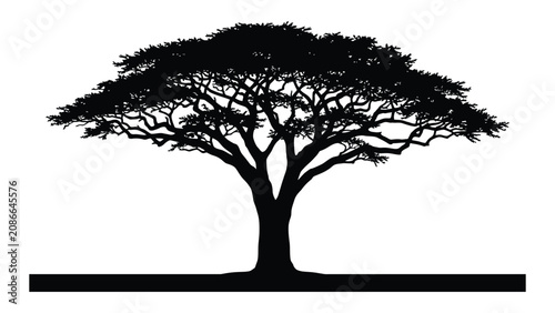 Cuadro en lienzo Acacia tree silhouette provides a flat graphic representation of African wildlife habitats
