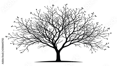 Tableau sur toile Tree silhouette stands with intricate bare branches spread wide against a stark white background