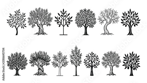 Foto Olive trees appear in an assorted collection of varied black and white botanical illustrations
