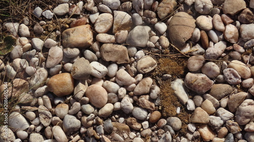 Quadro su tela pebble stones background