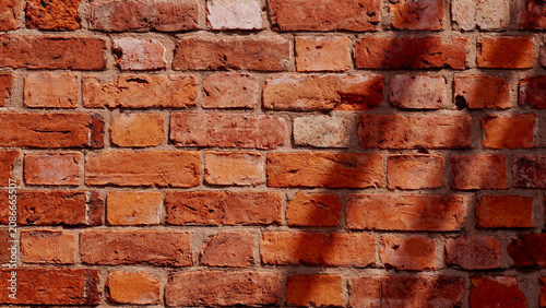 Photography Red brick wall texture, background with leaf shadow, orange brickwork surface fo