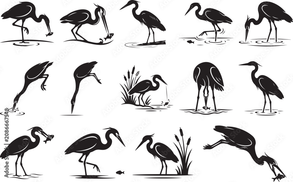 Fototapeta premium Collection of various heron poses and actions in black silhouette on white background