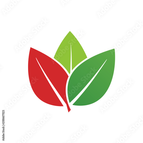 Three colorful leaves vector icon