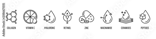Vector line icon set of active skincare ingredient for cosmetic packaging design on white background, retinol, collagen, vitamin c