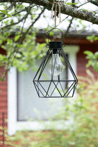 A solar-powered light hangs on a tree in the garden