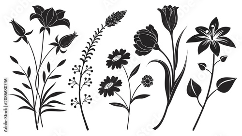 Bild auf Leinwand Black and white floral illustration with lotus, calla lilies, and wildflowers in