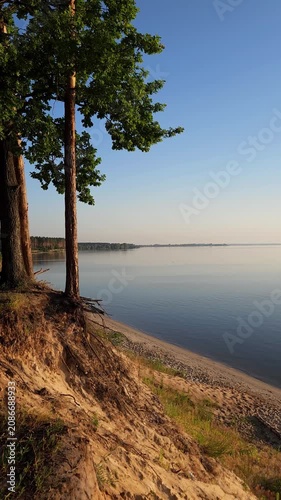 Vertical panning shot of a sandy cliff with exposed tree roots by the calm lake at sunrise