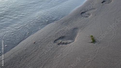 Footprints on the beach showing the path along the shore during early morning light near the water's edge