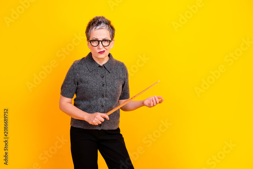 Vászonkép Strict teacher woman with pointer and glasses standing against bright yellow bac