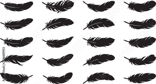 Foto Bird feather silhouette collection vector set with various plume shapes for grap