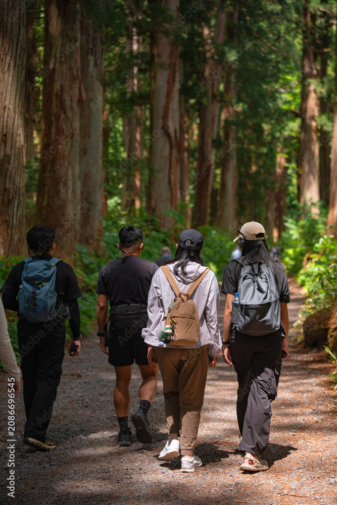 Fototapeta premium Earth Day concept on sustainability environmental renewable forest hiking trail group backpack tree nature travel outdoor people Group hiking along forest trail with backpack, tall tree, nature