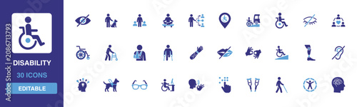 Disability icon set containing inclusive accessibility symbols, wheelchair assistance, guide dog support, sensory aid devices and prosthetic physical rehabilitation glyph designs.