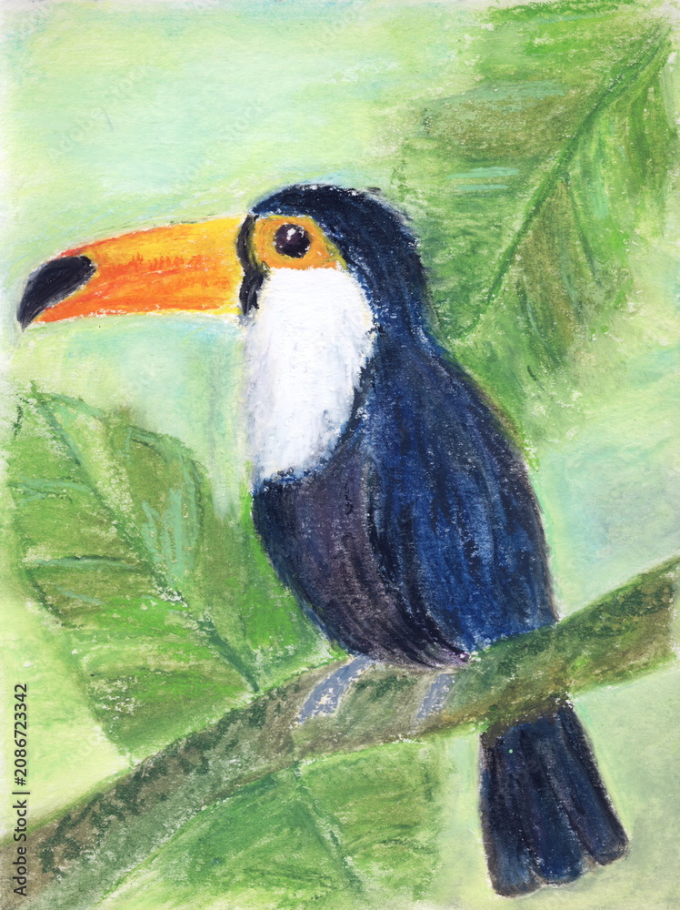 Obraz premium Toucan in jungle. Tropical bird of paradise. Hand painted illustration
