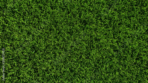Seamless Freshly Cut Dark Green Grass Texture – Aerial Macro Lawn Background, Top View Sports Field Surface