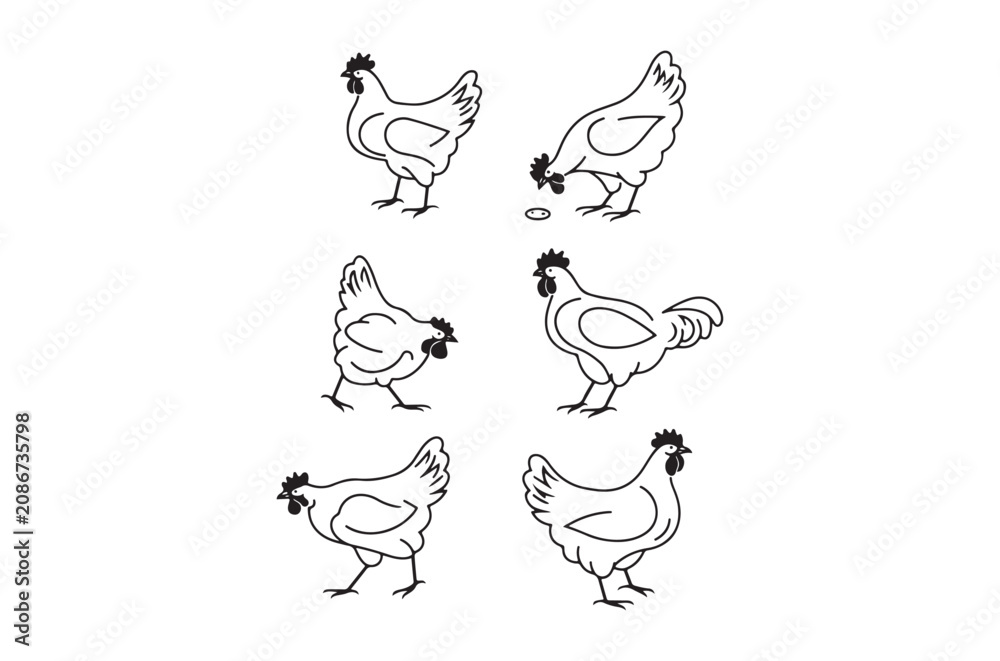 Fototapeta premium Chicken line art illustrations on a white background