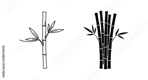 Fotografía Bamboo stalks and leaves black and white line drawing silhouette