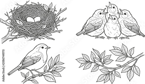 Canvas Print Bird Nest and Tree Branch Line Art Vector Set with Cute Chicks Singing Adult Rob