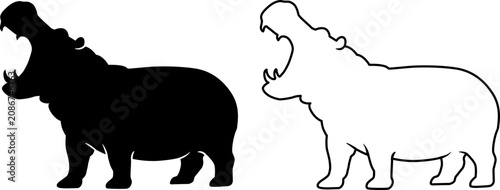 hippo walking with open jaws