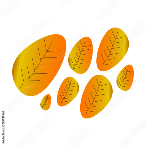 Abstract Autumn Leaf Icon Set Isolated on White Background Minimal Nature Vector Collection