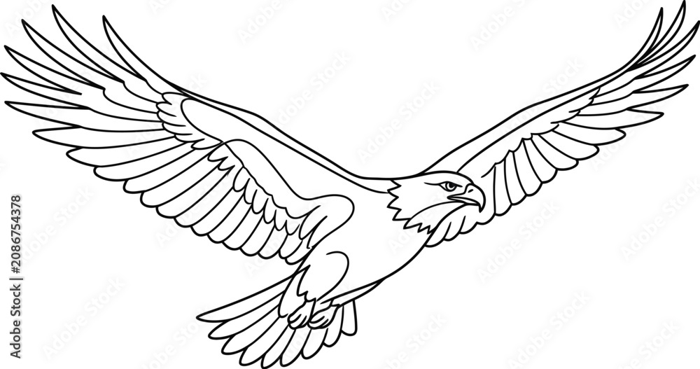 Obraz premium vector illustration of an eagle