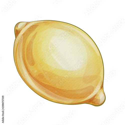 Billede på lærred Lemon Watercolor Clipart, Fresh Yellow Citrus Fruit Illustration, Hand Painted B