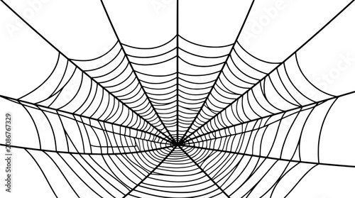 Intricate Spider Web Pattern - Radial Symmetry, Black and White