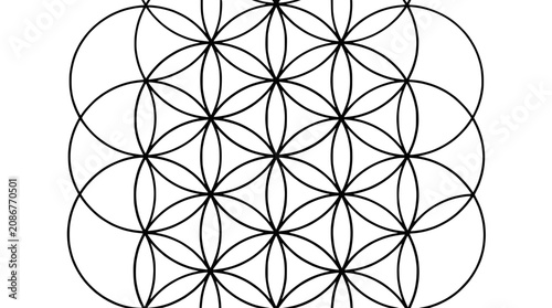 Sacred Geometry Flower of Life Pattern - Black and White Abstract Design