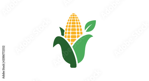 Fotografie Yellow corn on green leaves plant.