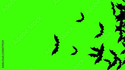Group of bats flying transition on green screen background. Bats flying wipe transition overlay for compositing and presentation. Halloween Spooky 2d  Bats covering screen transition on alpha channel.