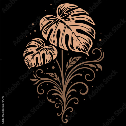Ornamentale Monstera mit tropischen Blättern als botanische Vektor Illustration