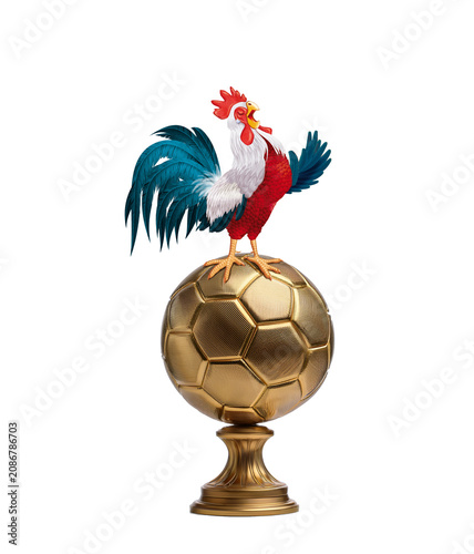 coq, France, champion, ballon d'or, bleu blanc rouge, fière, oiseau, animal, ferme, volaille, poule, blanc, coquelet, bec, empennage, domestique, poussin, dessin animé, oeuf, agriculture, debout